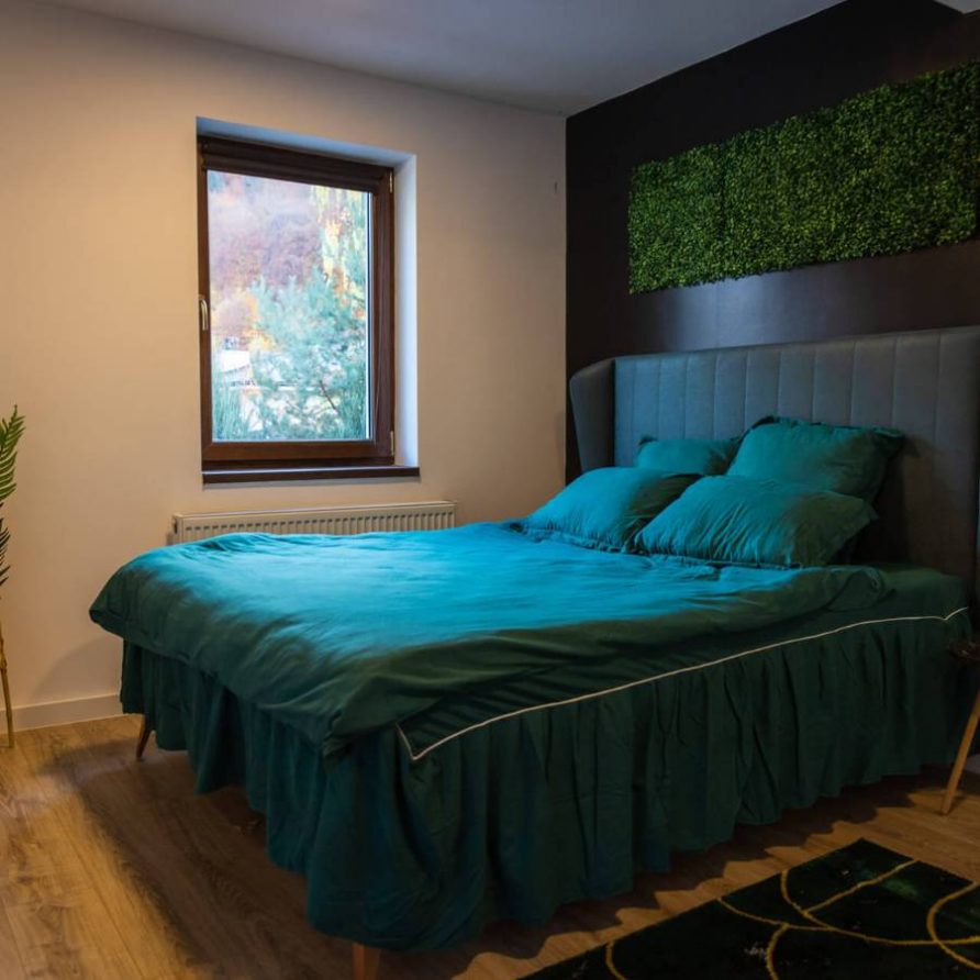 23 Pat Queen-Size din dormitorul verde din Jungle Villa Brasov - FamilyStays