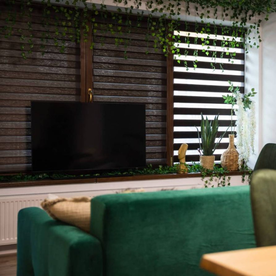 31 Canapea extensibila si TV din Jungle Villa Brasov - FamilyStays