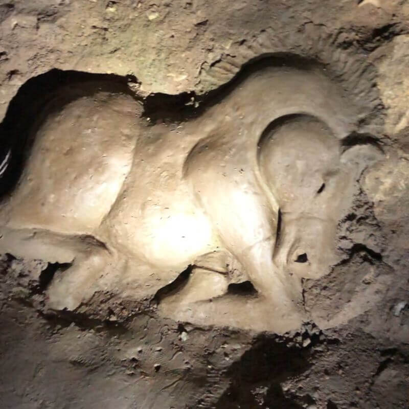 calul-sculptat-in-piatra-pesterii-valea-cetatii - FamilyStays Cal sculptat în piatră la Peștera Valea Cetății